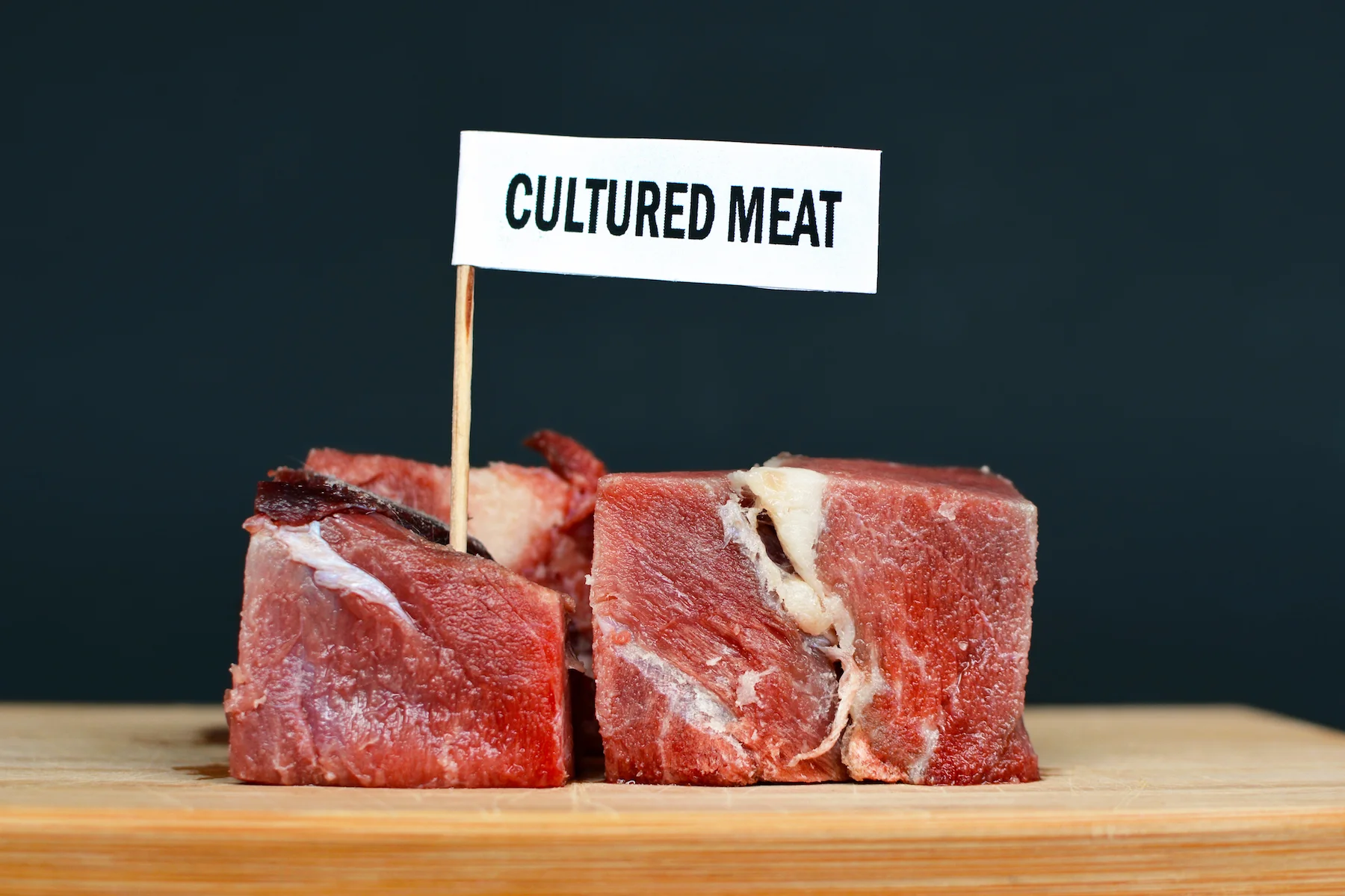 lab Cultured-Meat-Featured.webp